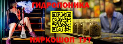 СК Донецк