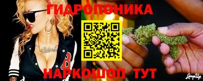 мдма Гусев