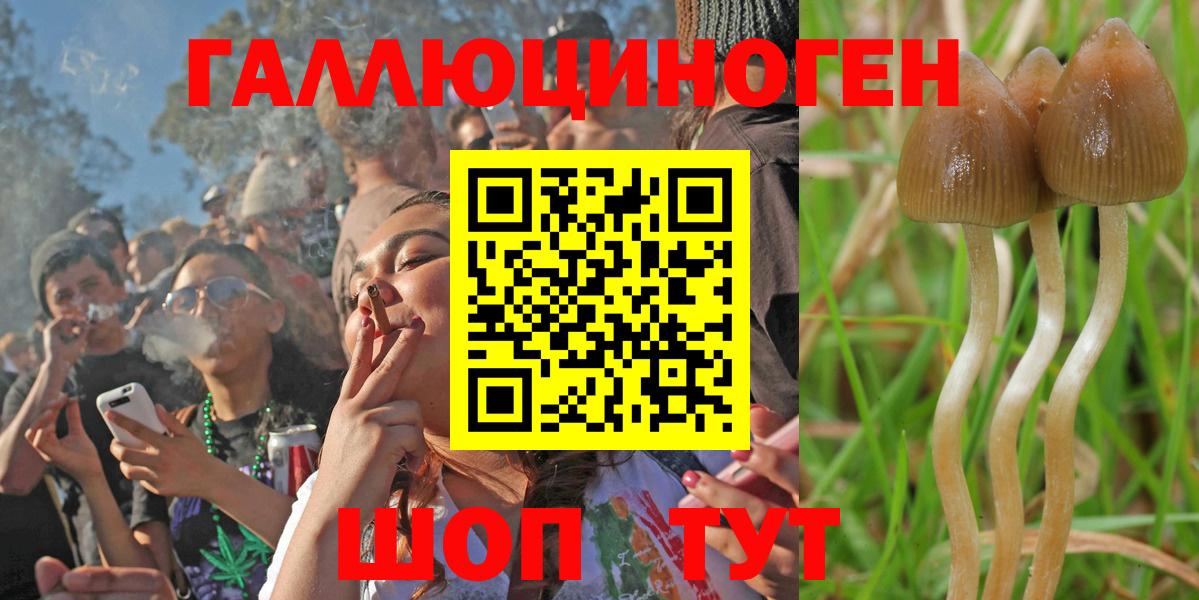 Ирбит  Галлюциногенные грибы Psilocybe  Галлюциногенные грибы мицелий  где продают   Вход с VPN 